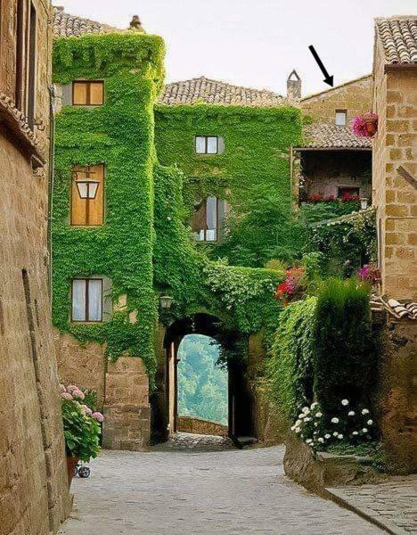 Gerani Rossi Holiday home